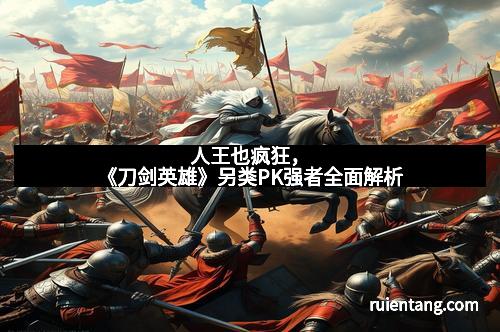 人王也疯狂，《刀剑英雄》另类PK强者全面解析
